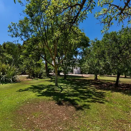 Villa Casablanca By Perle Di Puglia *